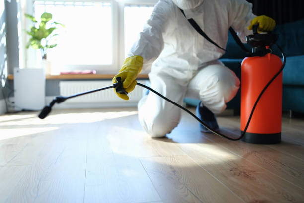 Reliable Odor Removal contractor in Califon, NJ by Trauma Clean Pros
